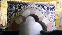 #فيديو| جولة سريعة في رحاب المسجد الأقصى والقدس المحتلةتصوير: غادة اشتية#رمضان_القدس_والعودة