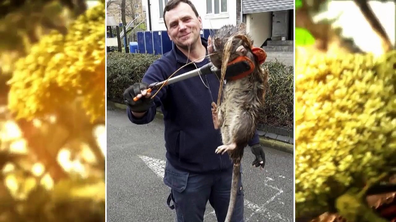 10 Самых Больших Животных, в Существование Которых Невозможно Поверить