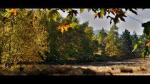 Nuri Bilge Ceylan'ın son filmi Ahlat Ağacı'nın fragmanı