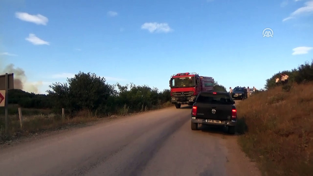 Orman yangınına müdahale ediliyor (2) - ÇANAKKALE