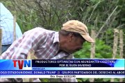 #TVNoticias Productores de la comarca de San Isidro, en Managua, se prepararon con tiempo para cultivar la tierra y ponen sus esperanzas en Dios para que este a