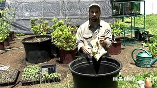 Organic Gardening - Propagation Methods