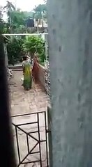 Woman beats mother-in-law for plucking flowers