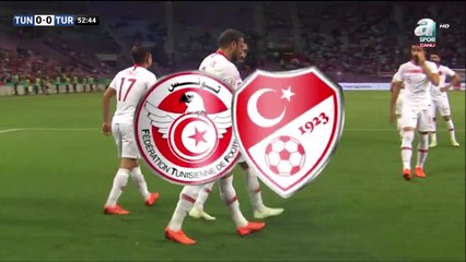 0-1 Cenk Tosun Penalty Goal International  Friendly - 01.06.2018 Tunisia 0-1 Turkey