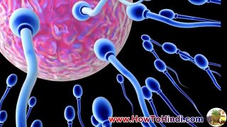 Not Getting Pregnant Reasons Pregnancy Tips In Hindi Ovulation Calculator Tips To Get Pregnant
