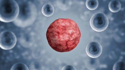 New blood diopsy test could herald new age in cancer treatment