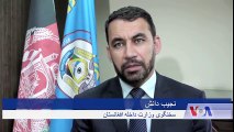 همزمان با افزایش حملات هراس افگنان بر نهادهای حکومتی در کابل، وزارت داخله افغانستان میگوید که برخی از حلقات در داخل کابل، امکانات اقامت هراس افگنان را در داخل ا