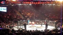 ЗАБИТ МАГОМЕДШАРИПОВ ПРОТИВ ЯИРА РОДРИГЕСА НА UFC 228 В РАЗРАБОТКЕ! ПРОИГРЫШ ШЛЕМЕНКО!