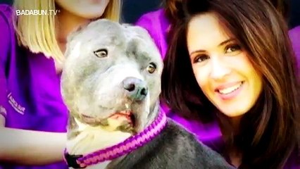 La tiraron a la basura después de perder una pelea, pero una niña la rescató y hoy luce así