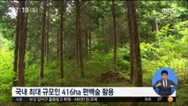 국내 최대 규모…전남 팔영산 편백숲에서 '힐링하세요'