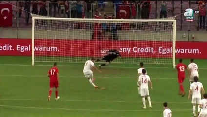Tunisia 2-2 Turkey All Goals & highlights - 01.06.2018