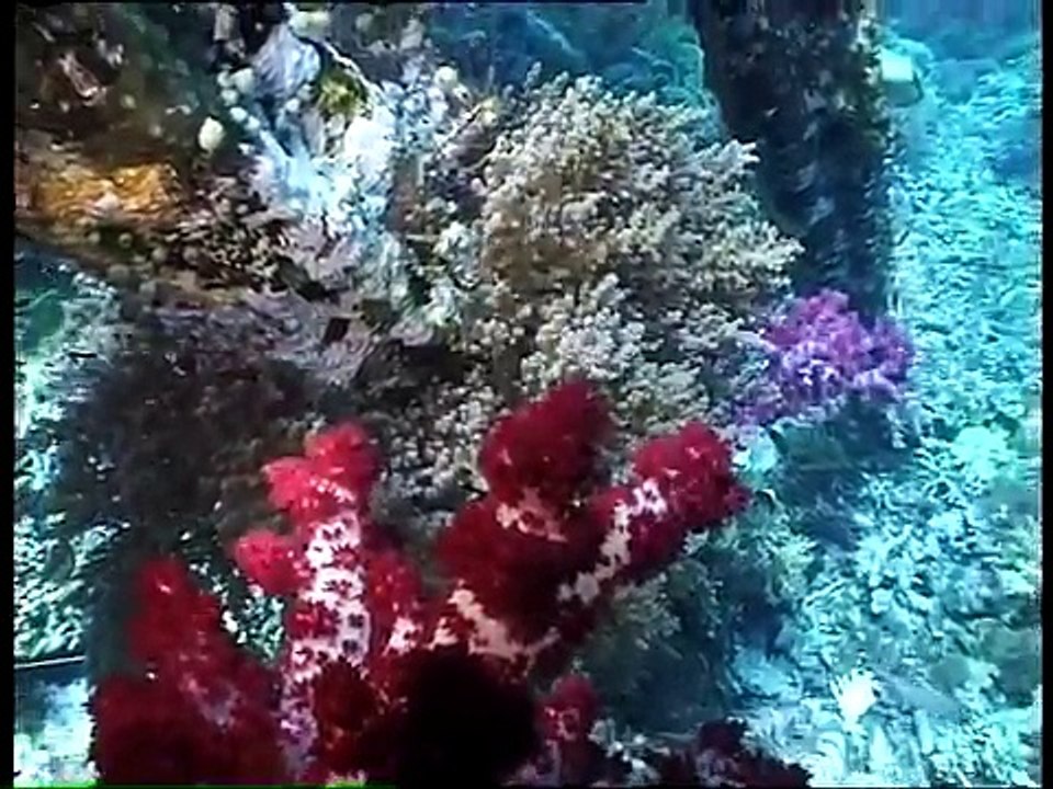 BLUE SECRET, THE LOST EDEN: PAPUA NEW GUINEA