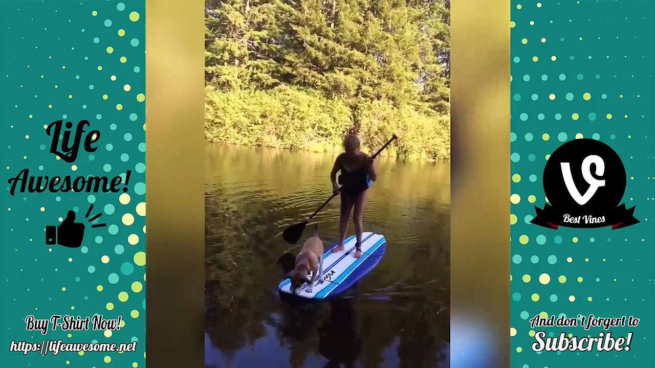 TRY NOT TO LAUGH - Funny Animals FAILS Compilation 2017 | Funny Animals vs Kids Fails Videos 2017