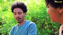 New Eritrean film 2018 Dama ( ዳማ ) PART 40 Shalom Entertainment