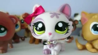 My LPS Collection | new