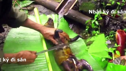 Săn động vật hoang dã gồm 2 con chồn cây 1 con chim trĩ lại còn có cả sóc và ếch nữa chứ