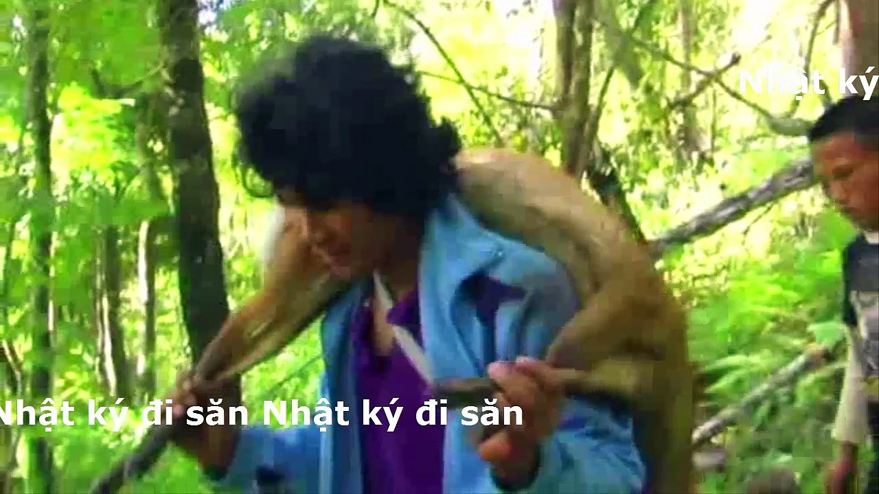 Hôm nay dùng chó và súng săn được con mang ăn thịt no luôn