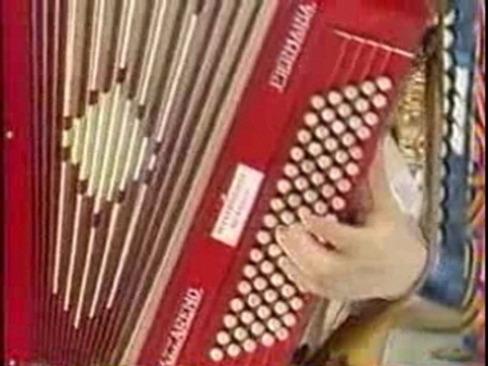 jerome dhainaut accordéoniste à l'école des fans