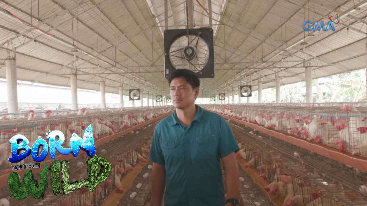 Born to be Wild: ‘Hungry Planet’ Part 1