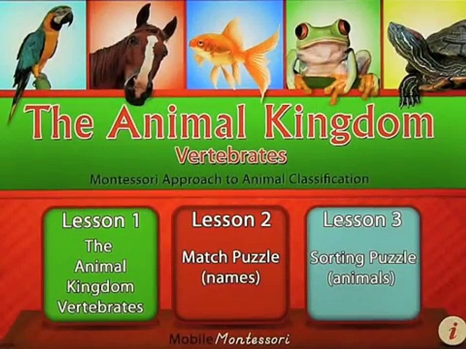 The Animal Kingdom: Vertebrates