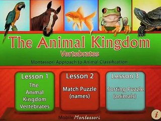 The Animal Kingdom: Vertebrates
