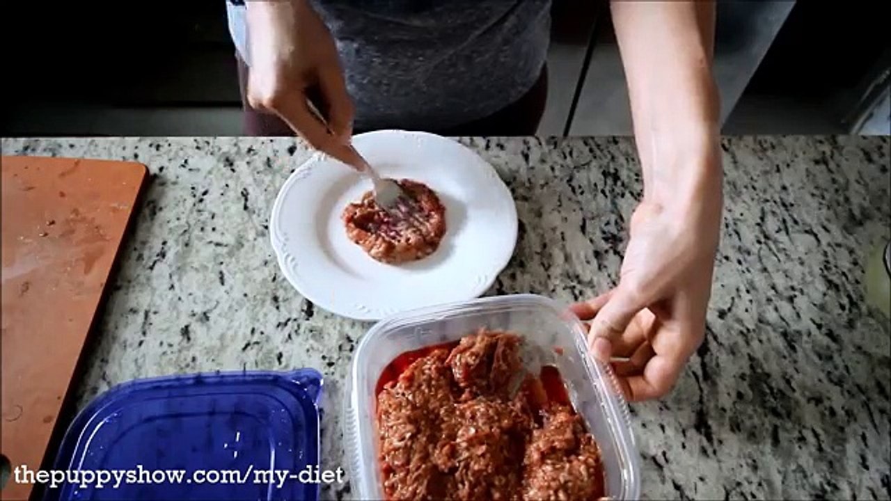 HOW TO WARM UP or HEAT RAW CAT FOOD – Raw Cat Food Recipe / Raw Diet for Cats / Homemade Cat Food