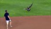 A Goose crashes a baseball game... and then crashes into scoreboard | FOX SPORTS