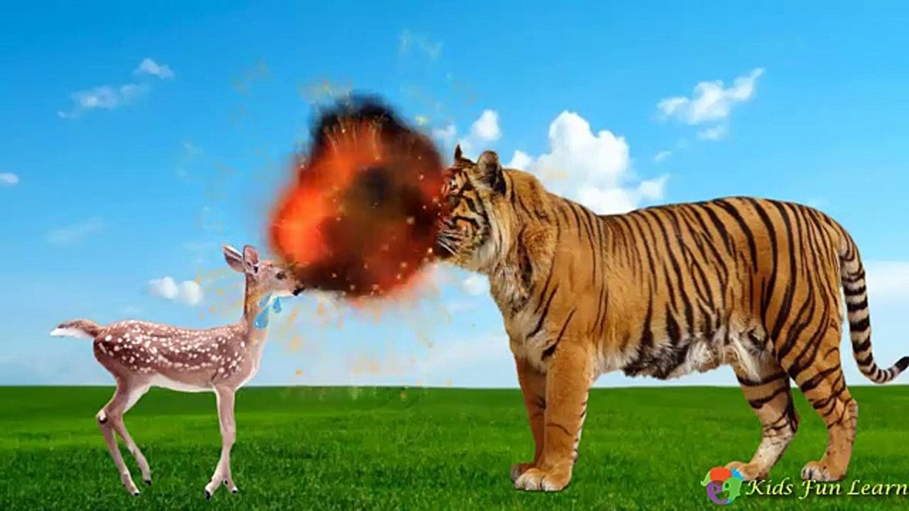 Animals Wild Baby Find Mom, Animals Wild Name and Sounds for Children | Animals for kids