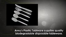 Find Biodegradable Disposable Cutlery in China