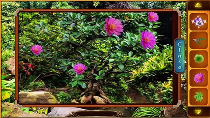 Escape Games - Garden Walkthrough