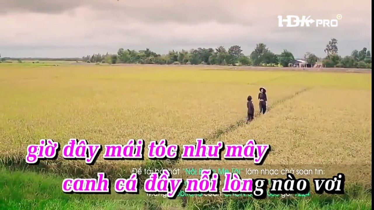 Noi buon me toi - Phuong my chi ( karaoke)