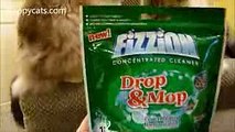 Ragdoll Cats Receive New Fizzion Concentrated Cleaner Drop & Mop for Mopping