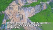 China's Three Gorges is famous for its spectacular view as well as many historical and cultural sites. In recent years, the ecosystem in its Qutang Gorge has be
