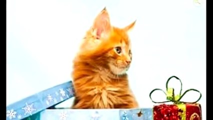 Что нельзя дарить. И ПРИНИМАТЬ В ДАР ! РУМЫНСКИЙ МЕДИУМ .