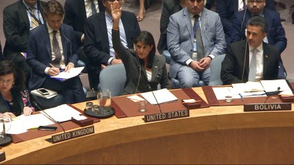 US' Nikki Haley isolated as UN proposal to condemn Hamas voted down