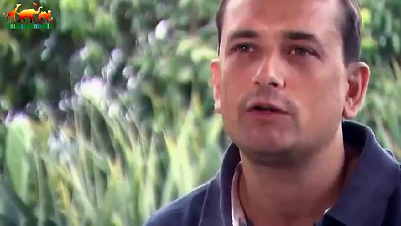 Крокодил напал на стервятника и утащил под воду 1080P. Невероятное Зрелище / Крокодил Vs Стервятник