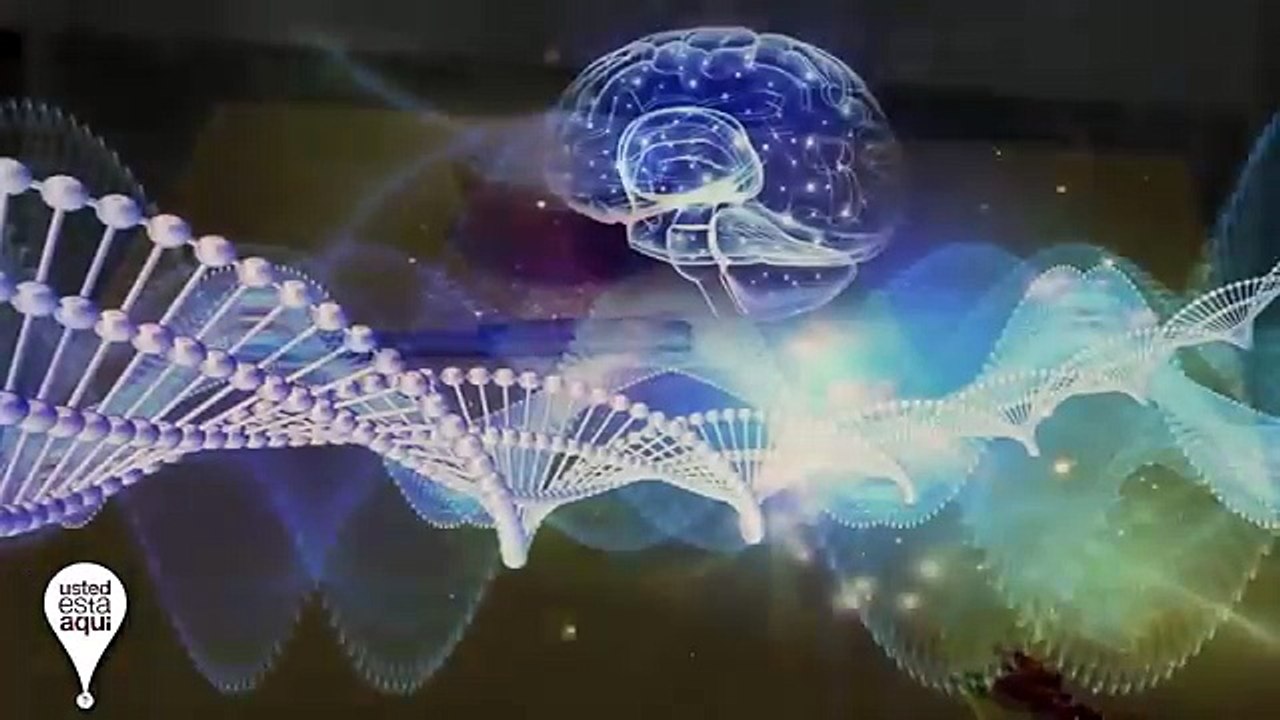 Youtuber Ruso Crea Nuevo Homunculo - La Verdad - ¿Alquimia? Homunculo Mucho Mas Grande y Comiendo