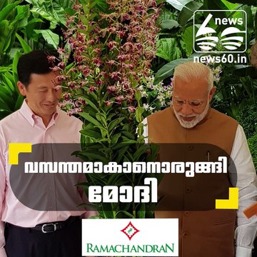 an orchid named as Dendrobium Narendramodi