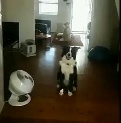 素晴らしいシンクロ。Awesome sync.