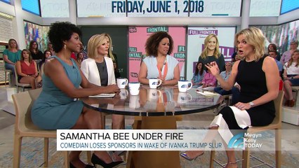 Samantha Bee’s vulgarity ‘distracted us from policy’: Megyn Kelly roundtable