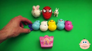 Kinder Surprise Egg Learn-A-Word! Learn the 4 Seasons! (Teaching Letters Opening Eggs and Spelling)
