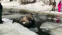 Traverser une rivière gelée ? Pas si simple LOL