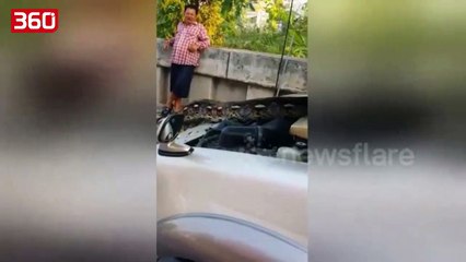 I fiket makina në mes të rrugës, pasi hap kofanon vë duart në kokë (360video)
