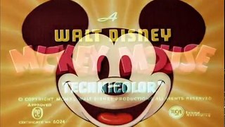 Mickey Mouse - Le Rêve de Pluto (1940)