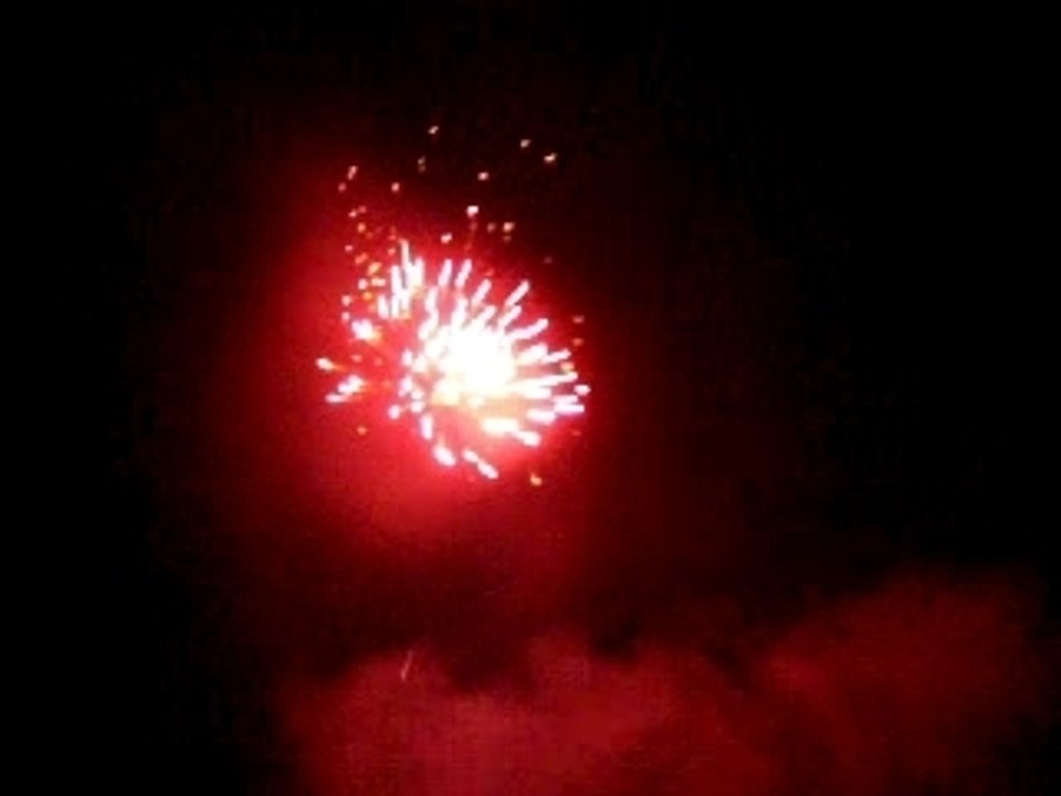 101_4961
