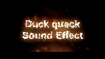 Duck Quack Sound Effect