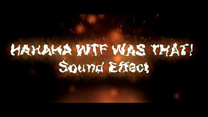 HAHAHA WTF WAS THAT! - Sound Effect