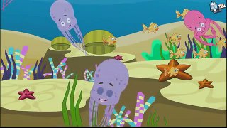 Learn about Octopus | Sea Animal