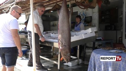Report Tv - Vlorë, kapet peshku i rrallë 'gjalpë' në ujërat e detit Jon