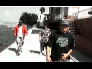 Misho Shamara - Dreme mi na kura